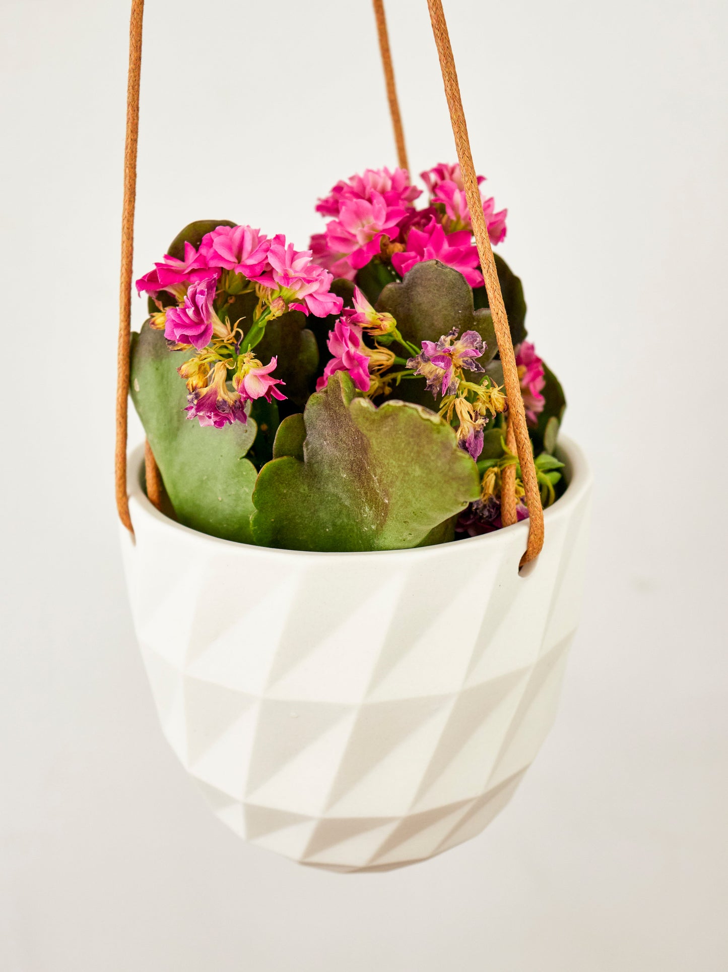 Virago Modern Hanging Planter- Grid – plant pot