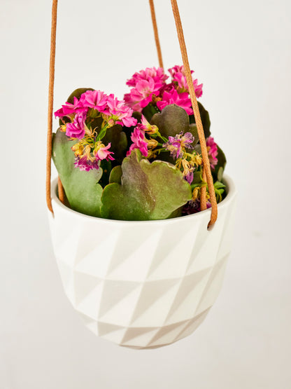 Virago Modern Hanging Planter- Grid – plant pot