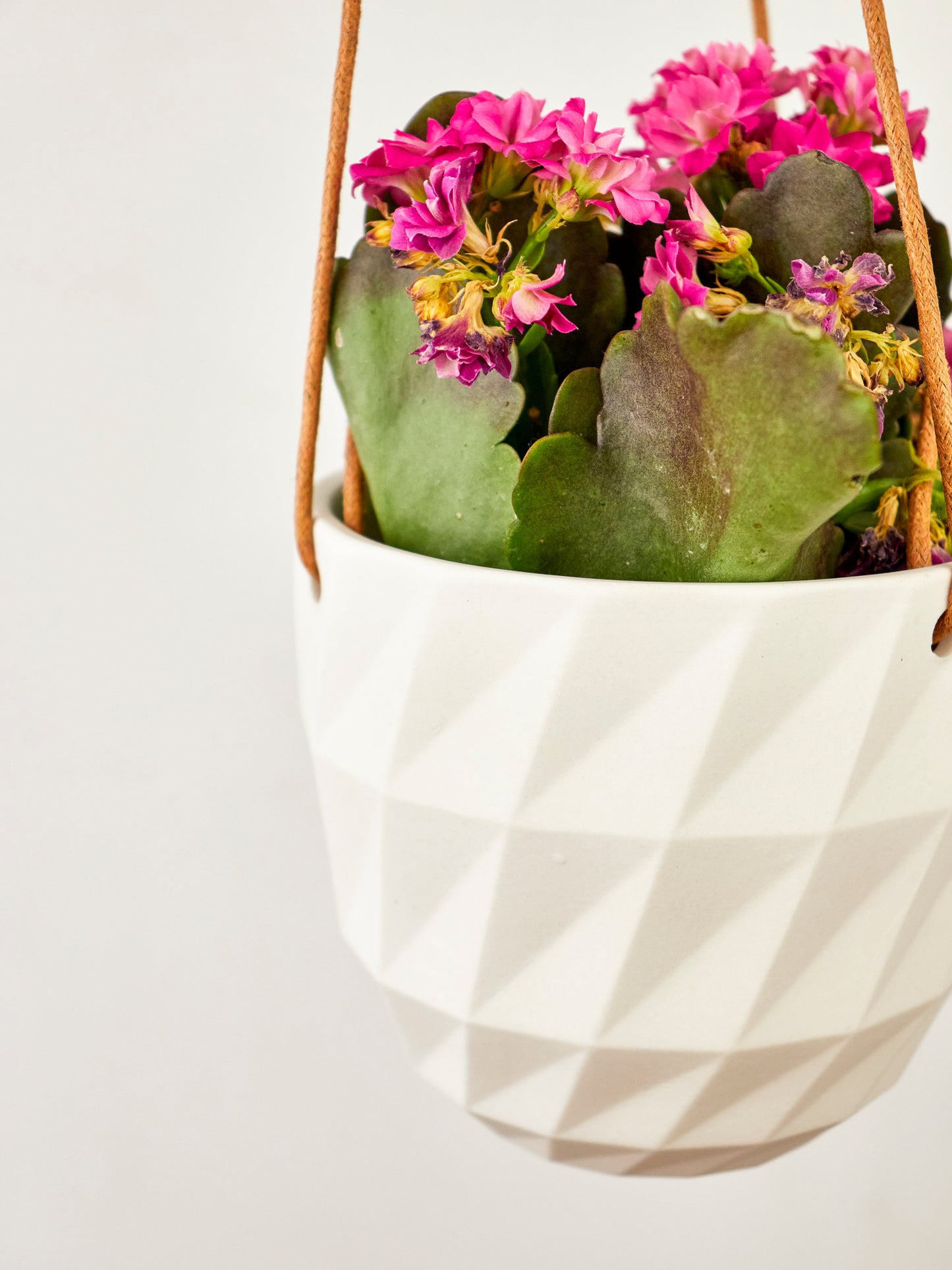 Virago Modern Hanging Planter- Grid – White plant pot