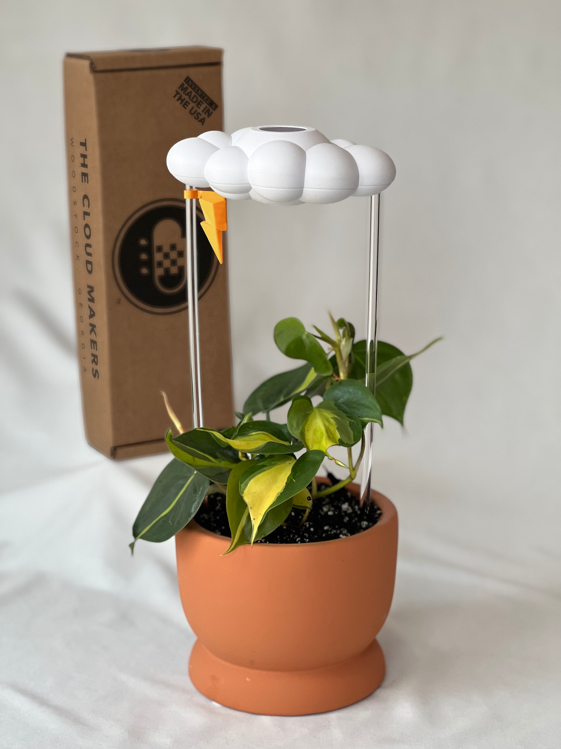 Original Dripping Rain Cloud with Lightning Bolt Charm – houseplant accessory