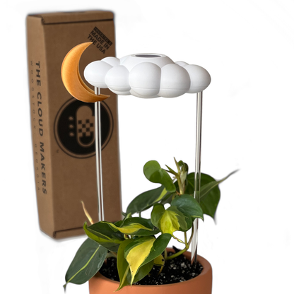 Original Dripping Rain Cloud with Moon Charm – houseplant accessory
