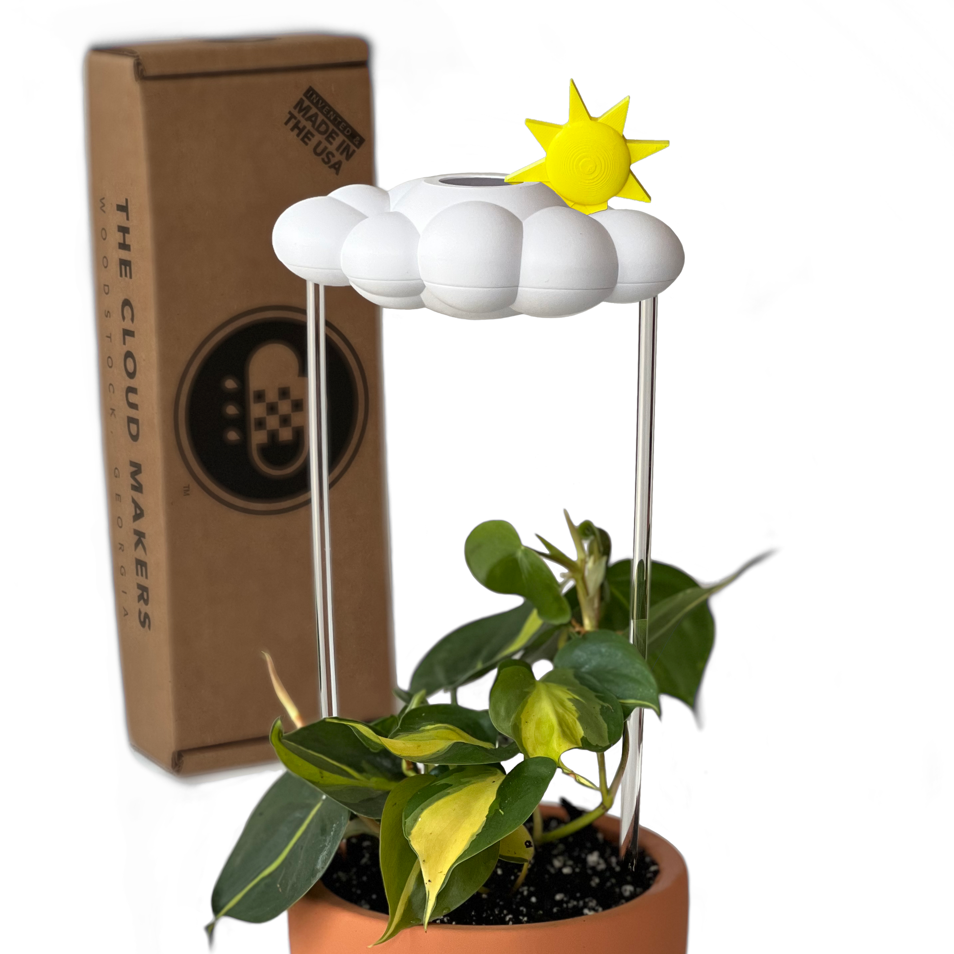 Original Dripping Rain Cloud with Sun Charm – houseplant accessory