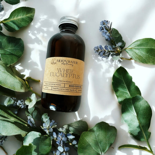 White Eucalyptus - REED DIFFUSER – Fresh Clean Aromatherapy Scent -- by Moon Water Apothecary! –