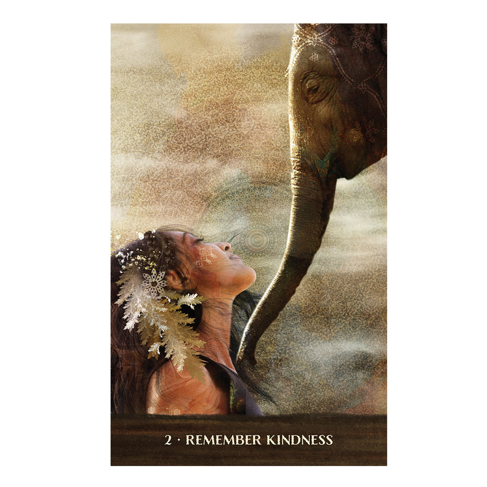 Wild Woman Rising Oracle Deck – Tarot Cards