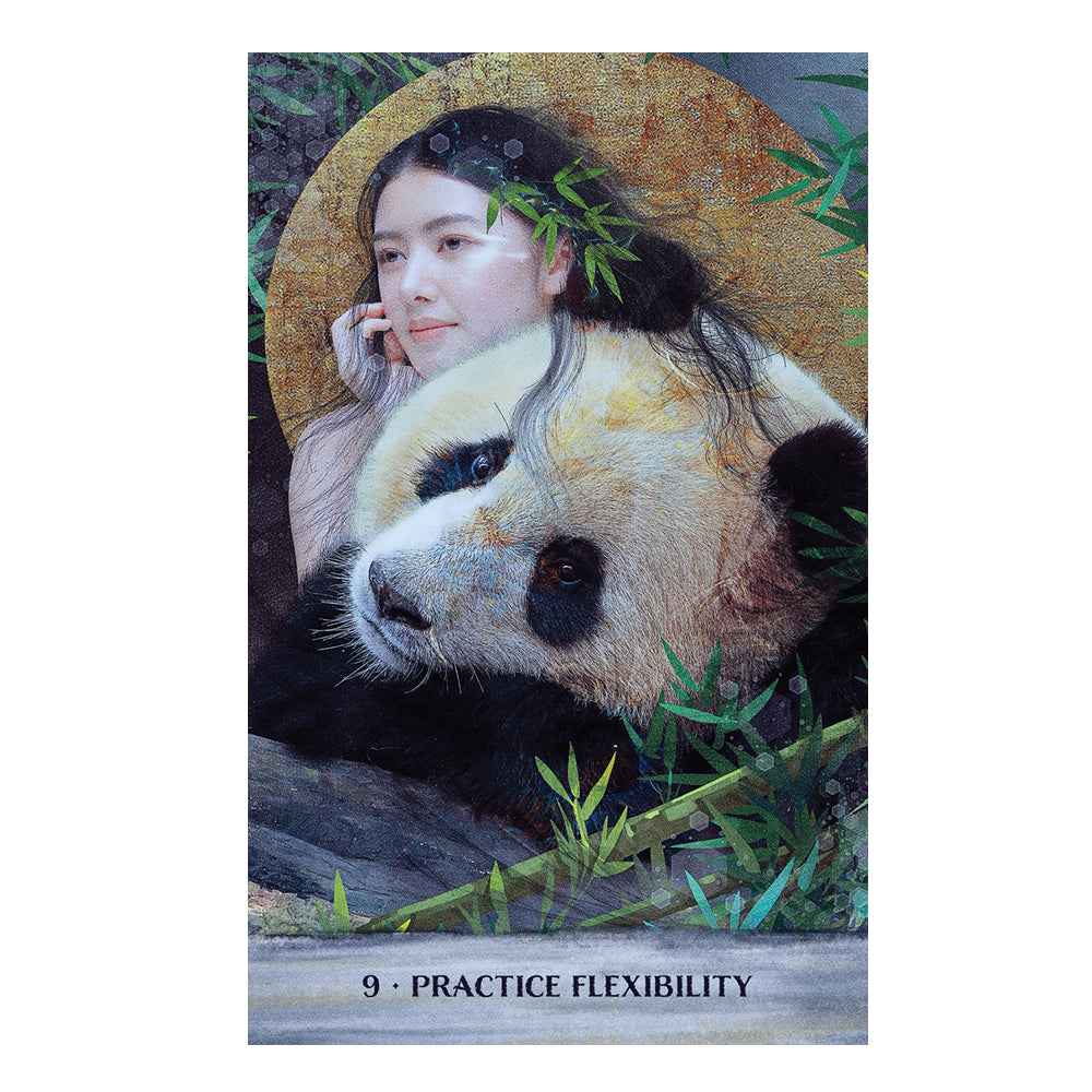 Wild Woman Rising Oracle Deck – Tarot Cards