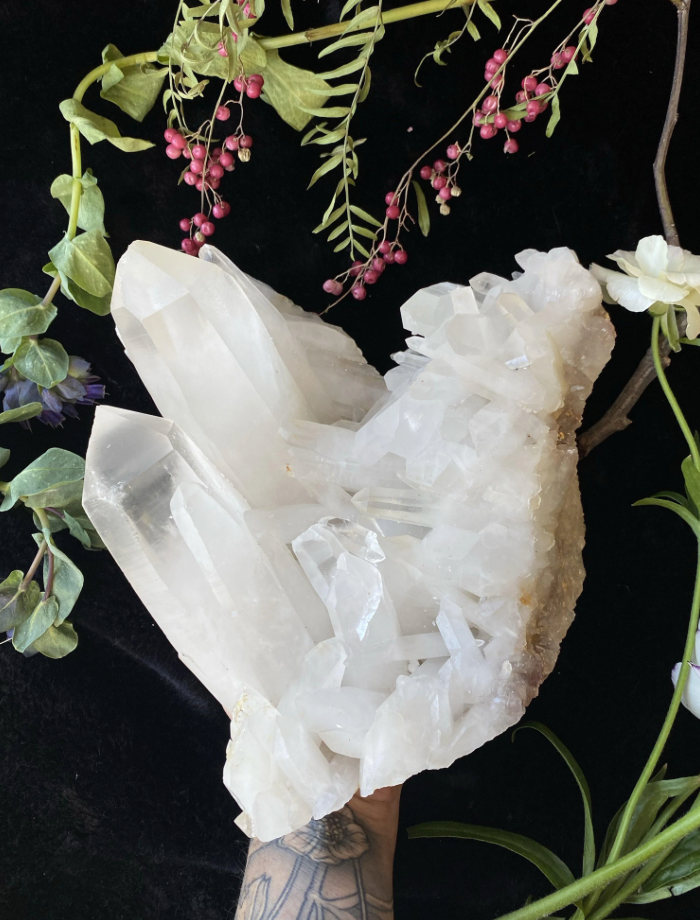 Himalayan Clear Quartz on Matrix XL - 5.8LBS A++ GRADE – Crystals