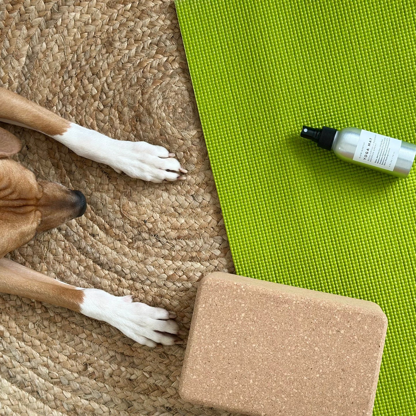 Yoga Mat Spray - Eucalyptus + Rosemary – Home Accessories