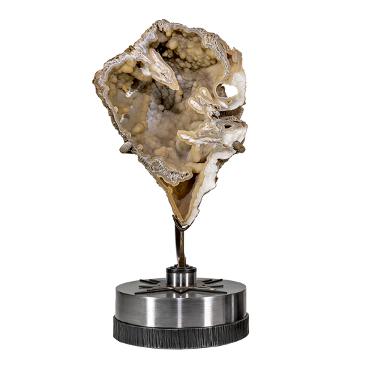 Agatized Fossil Coral on Rotating Starburst Stand - Statement Art – Fossils & Minerals