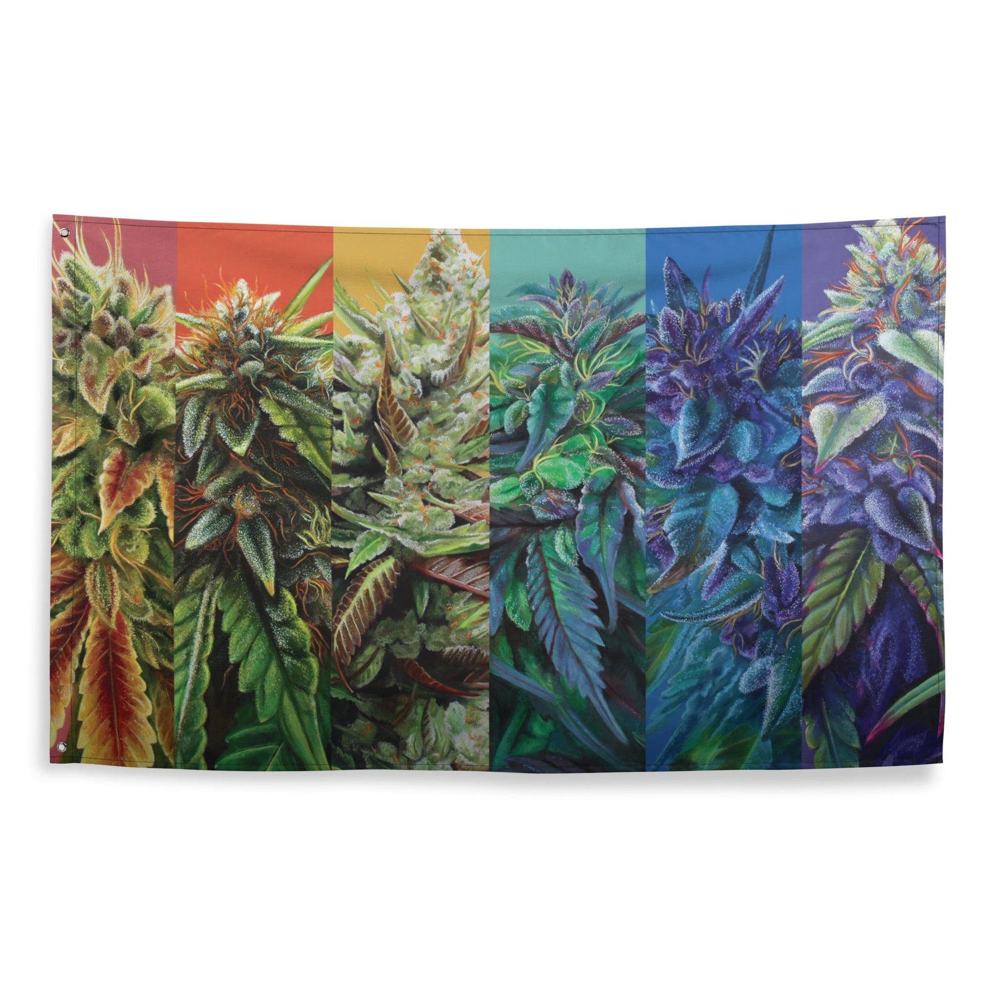 Rainbow Cannabis Flag 3x5 ft | Pride Weed Decor – Flags & Windsocks