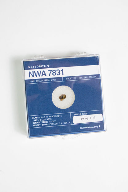 Asteroid 4 Vesta Meteorite – Meteorites