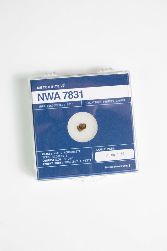 Asteroid 4 Vesta Meteorite – Meteorites