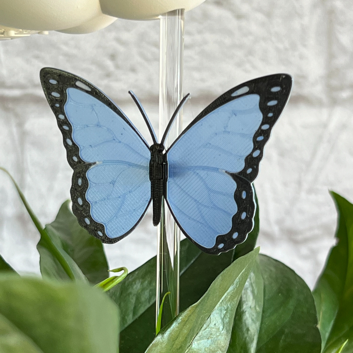 Original Dripping Rain Cloud with Blue Butterfly Charm – Clouds
