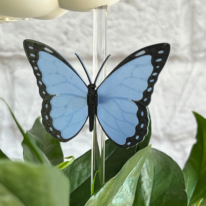 Original Dripping Rain Cloud with Blue Butterfly Charm – Clouds