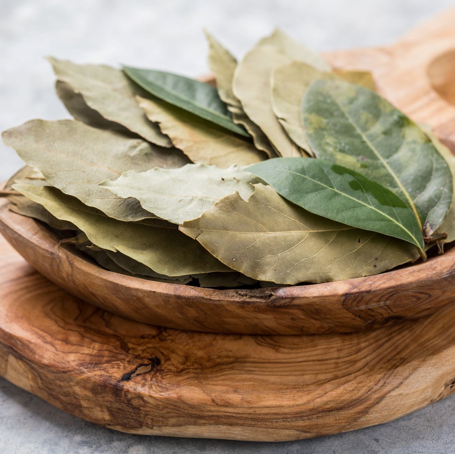 Bay Leaf Essential Oil – Essential_Oil