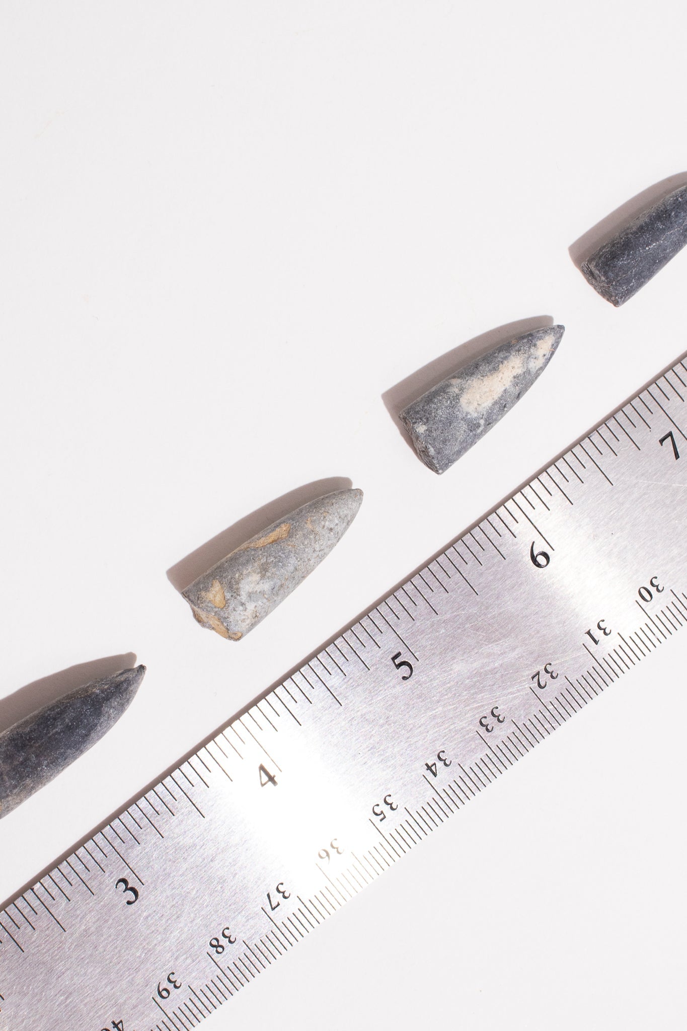 Belemnite Fossil