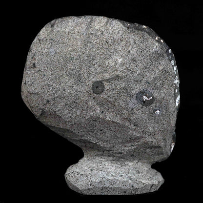 Black Sparkling Chalcedony Geode Natural Mineral Specimen # B 4629 – Chalcedony