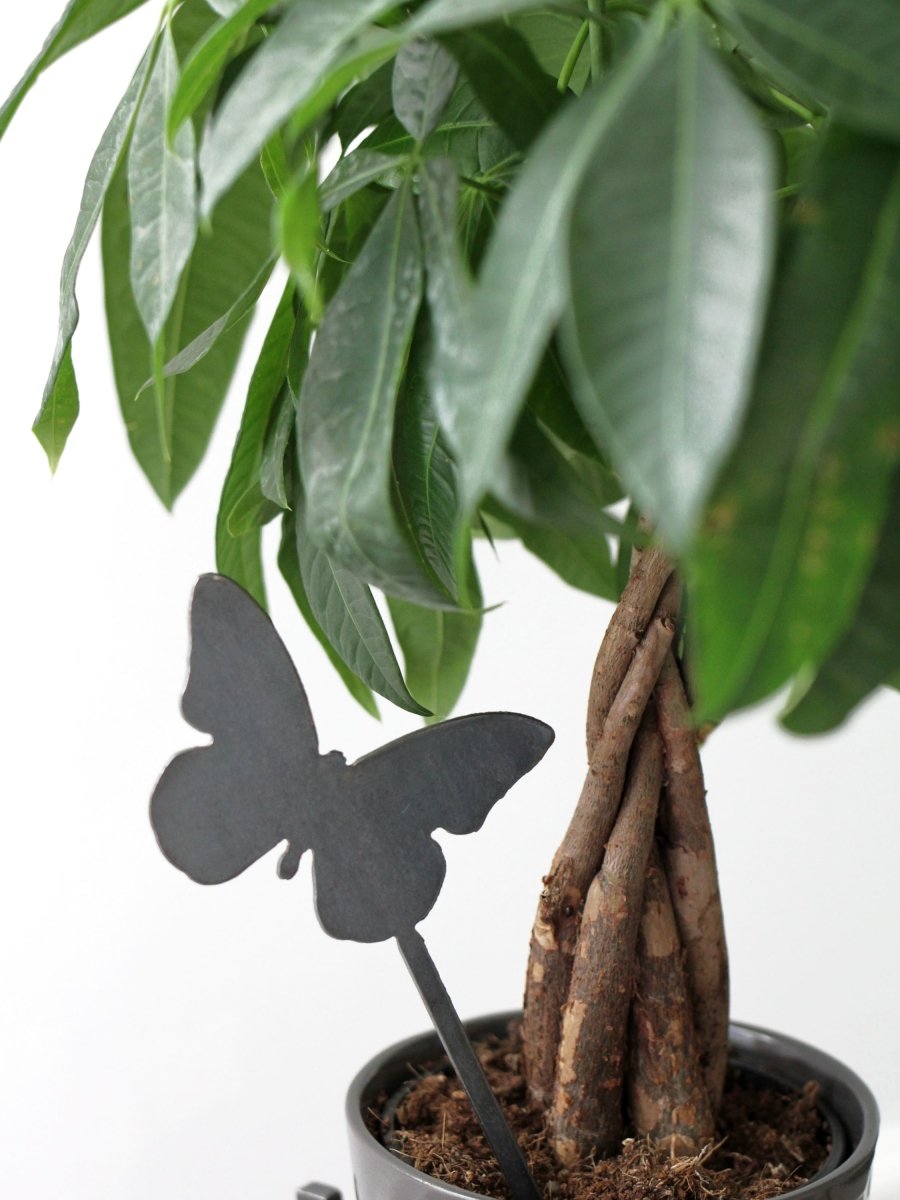 Butterfly Plant Stake