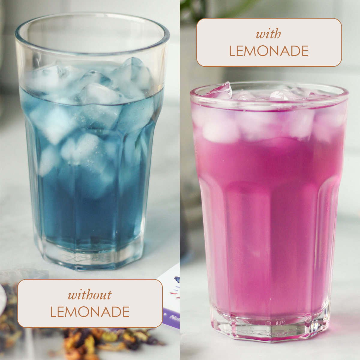 Magical Butterfly Herbal Tea (Butterfly Pea Flower / Berries) –