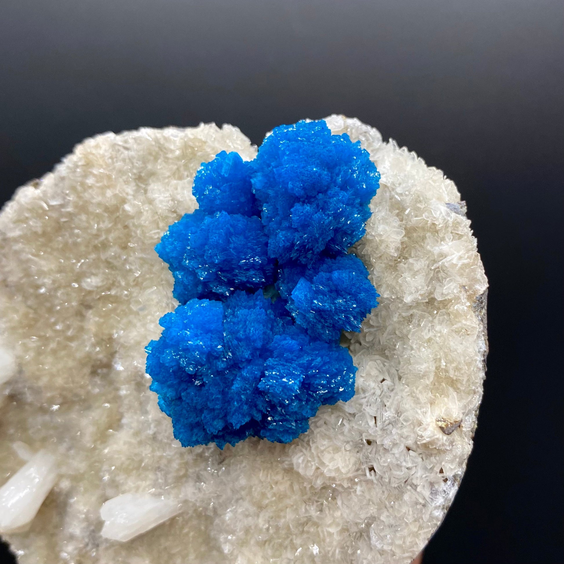 Cavansite - large, bold coloring – Cavansite