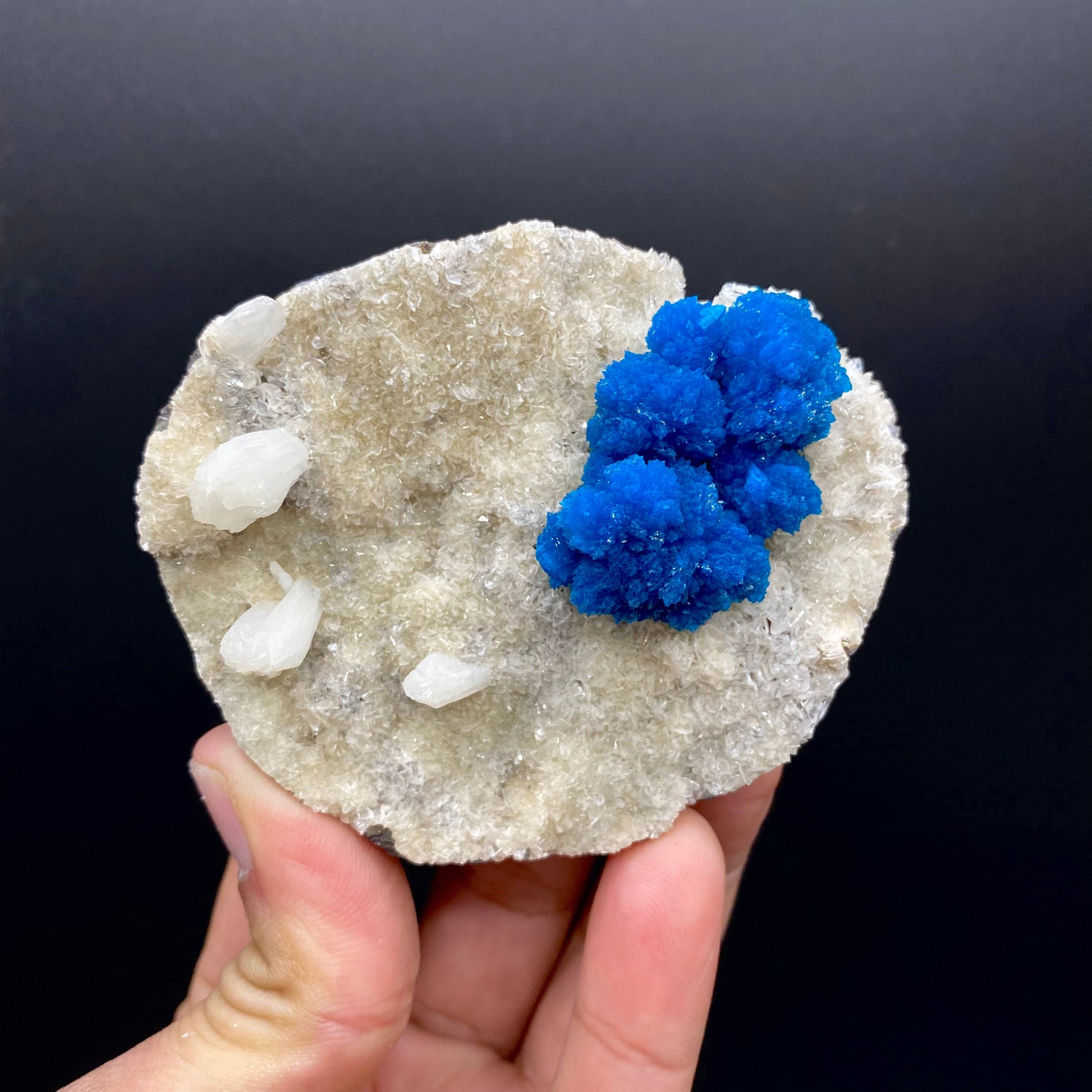 Cavansite - large, bold coloring – Cavansite