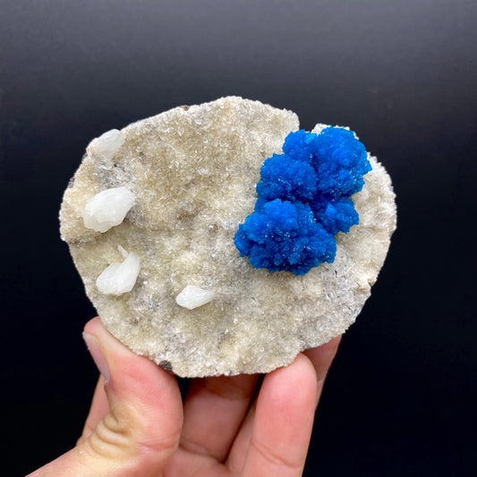 Cavansite - large, bold coloring – Cavansite