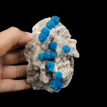 Cavansite on Heulandite (Rare Find) Natural Mineral Specimen USA – Cavansite