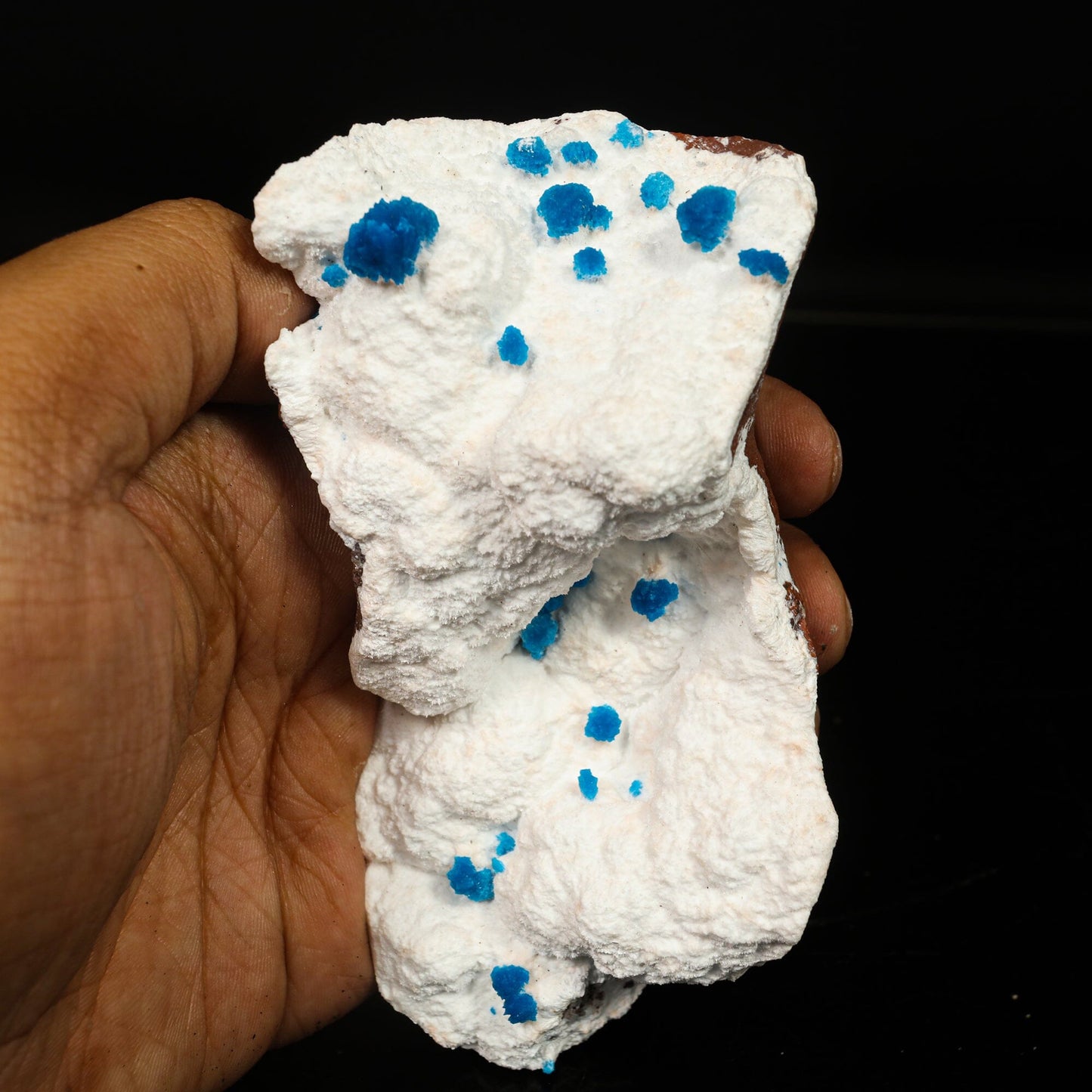 Cavansite on Modernite (Rare Find) Natural Mineral Specimen – Cavansite