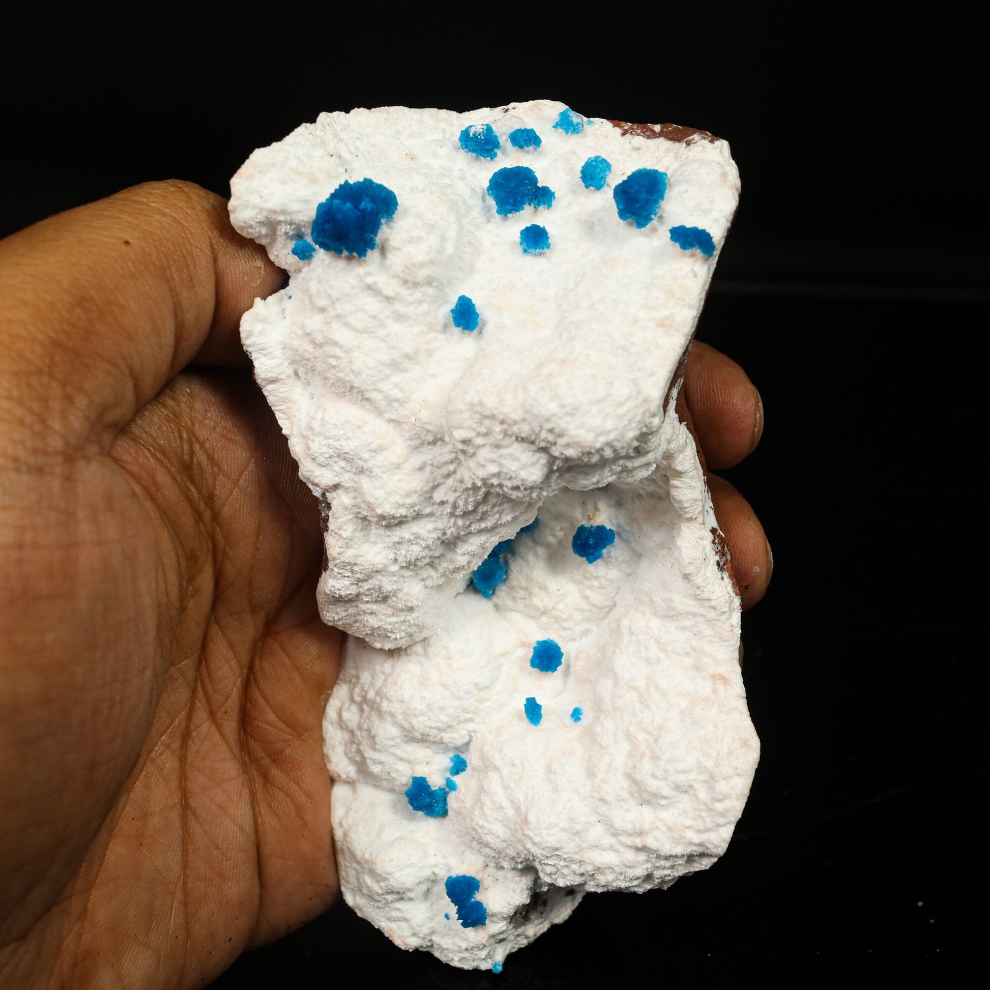 Cavansite on Modernite (Rare Find) Natural Mineral Specimen – Cavansite