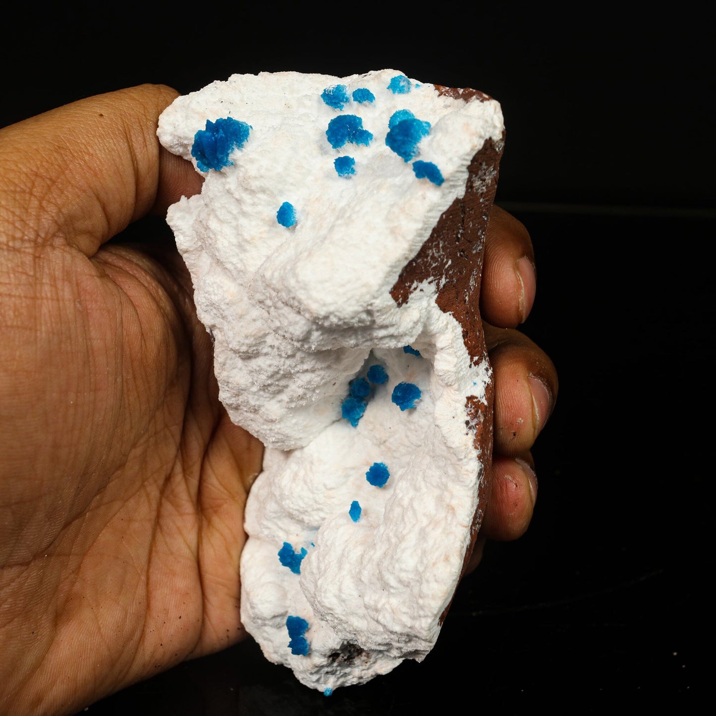 Cavansite on Modernite (Rare Find) Natural Mineral Specimen – Cavansite