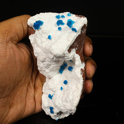 Cavansite on Modernite (Rare Find) Natural Mineral Specimen – Cavansite