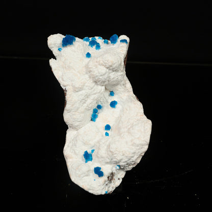 Cavansite on Modernite (Rare Find) Natural Mineral Specimen – Cavansite