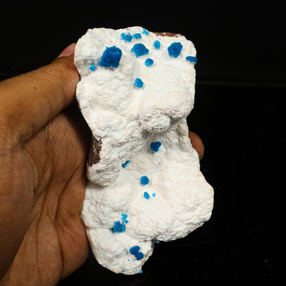 Cavansite on Modernite (Rare Find) Natural Mineral Specimen – Cavansite