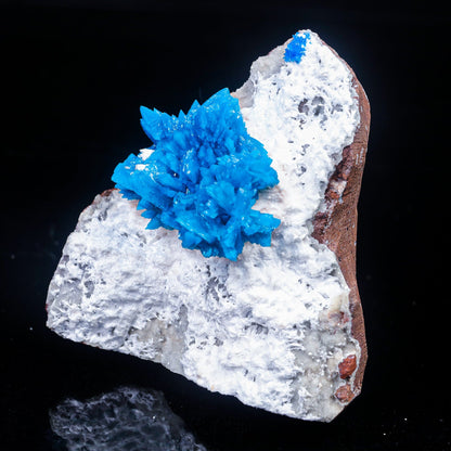 Cavansite on Mordenite (Rare Find) Natural Mineral Specimen – Cavansite
