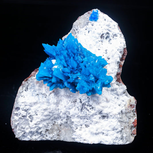 Cavansite on Mordenite (Rare Find) Natural Mineral Specimen – Cavansite