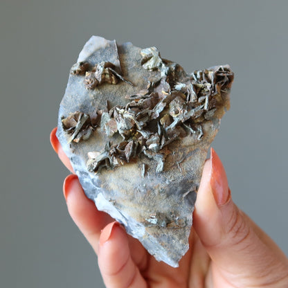 Chalcopyrite Crystal Cluster | Natural Peacock Ore Specimen – Clusters