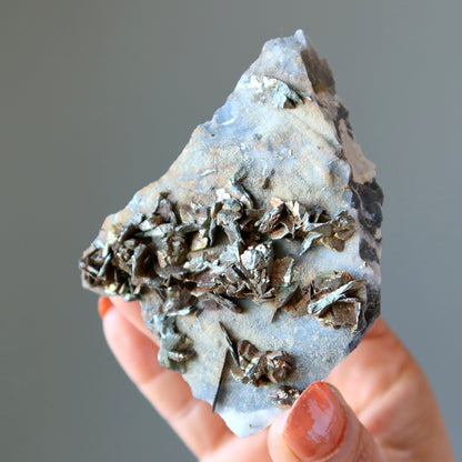 Chalcopyrite Crystal Cluster | Natural Peacock Ore Specimen – Clusters