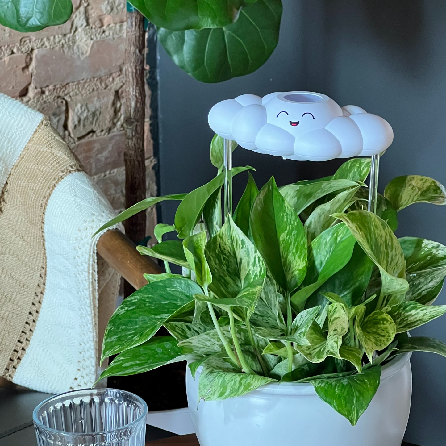 Chelsea Cloud Plant Waterer - Rain Cloud Planter – House Plant Accessory