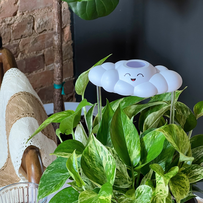 Chelsea Cloud Plant Waterer - Rain Cloud Planter – House Plant Accessory