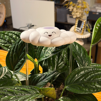 Chelsea Cloud Plant Waterer - Rain Cloud Planter – House Plant Accessory