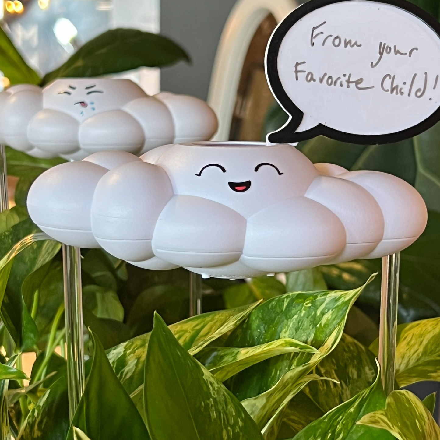 Chelsea Cloud Plant Waterer - Rain Cloud Planter – House Plant Accessory