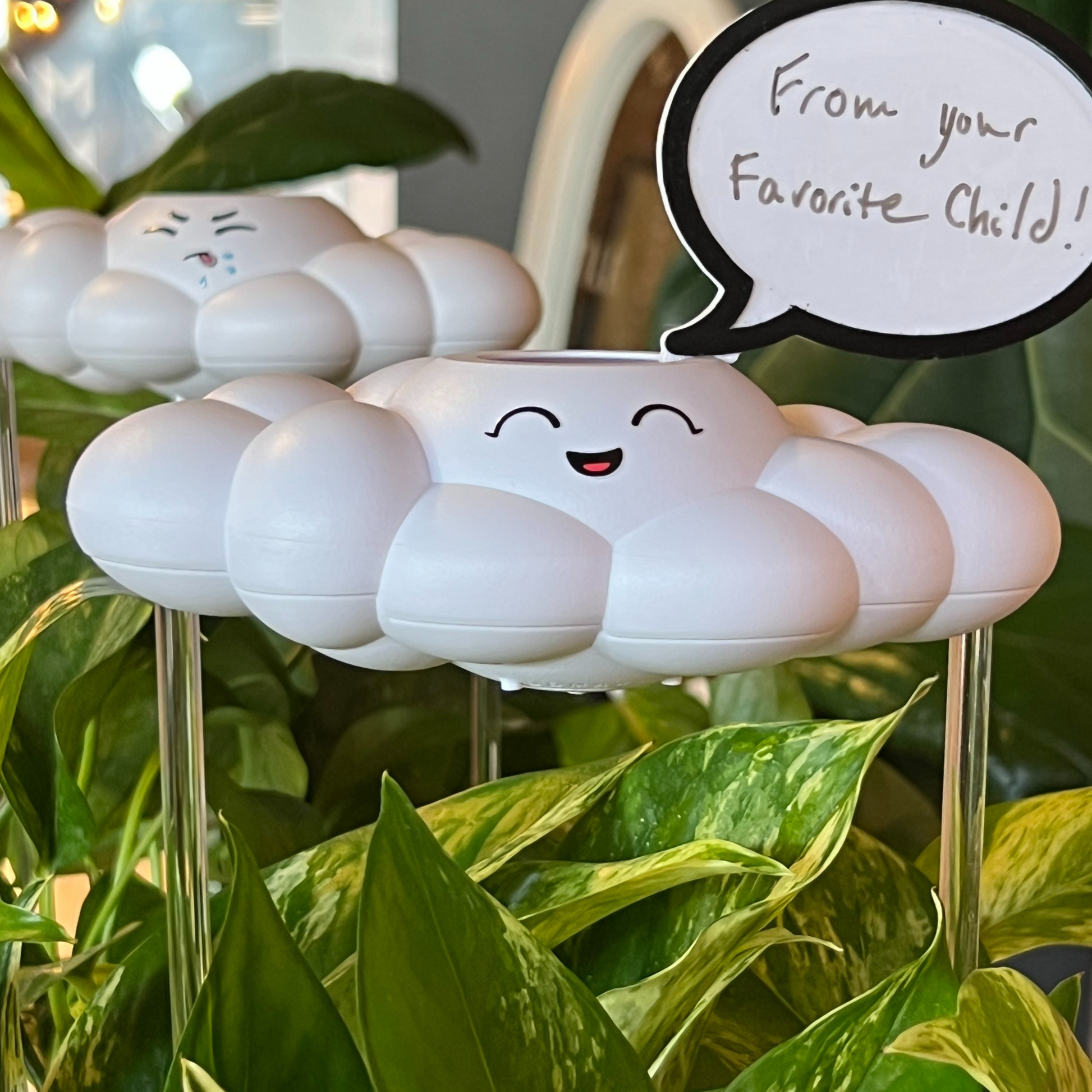 Chelsea Cloud Plant Waterer - Rain Cloud Planter – House Plant Accessory