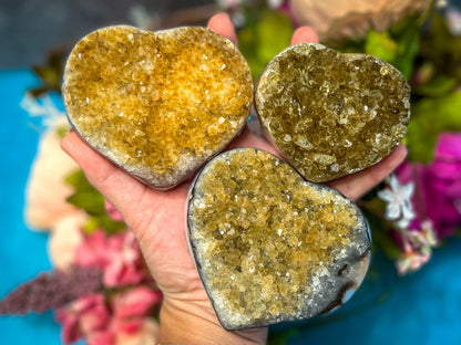 Raw Citrine Hearts, Ethically Sourced from Uruguay – 300-349 grams