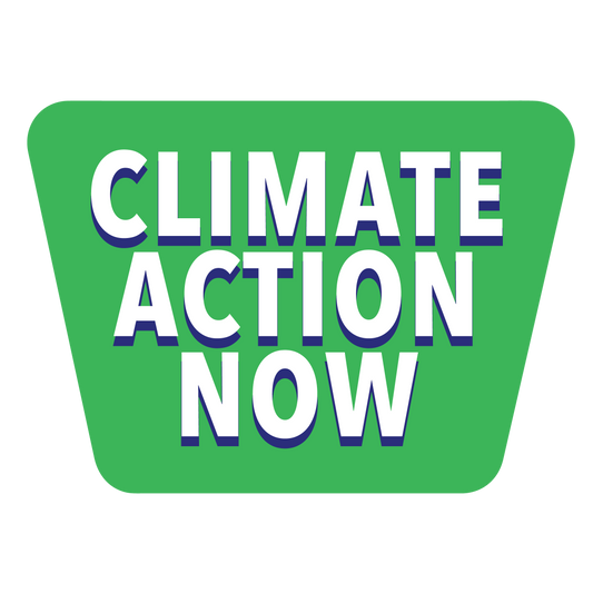 Climate Action Now Vinyl Sticker