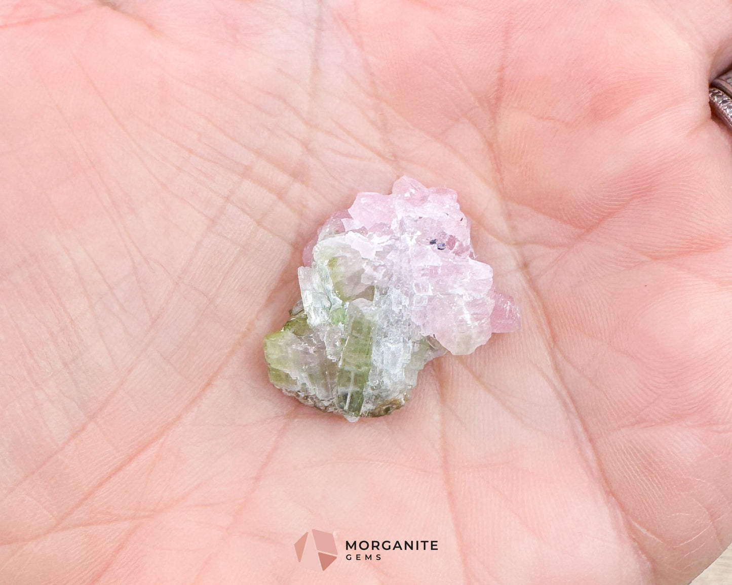 Elbaite Tourmaline – Natural Crystal Specimen in Clear Display Case 2.19g (27×21×11 mm) – Dara‑e‑Pech, Kunar, Afghanistan