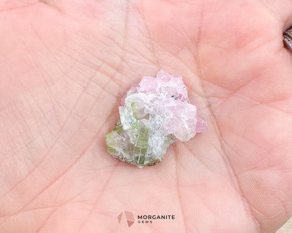 Elbaite Tourmaline – Natural Crystal Specimen in Clear Display Case 2.19g (27×21×11 mm) – Dara‑e‑Pech, Kunar, Afghanistan