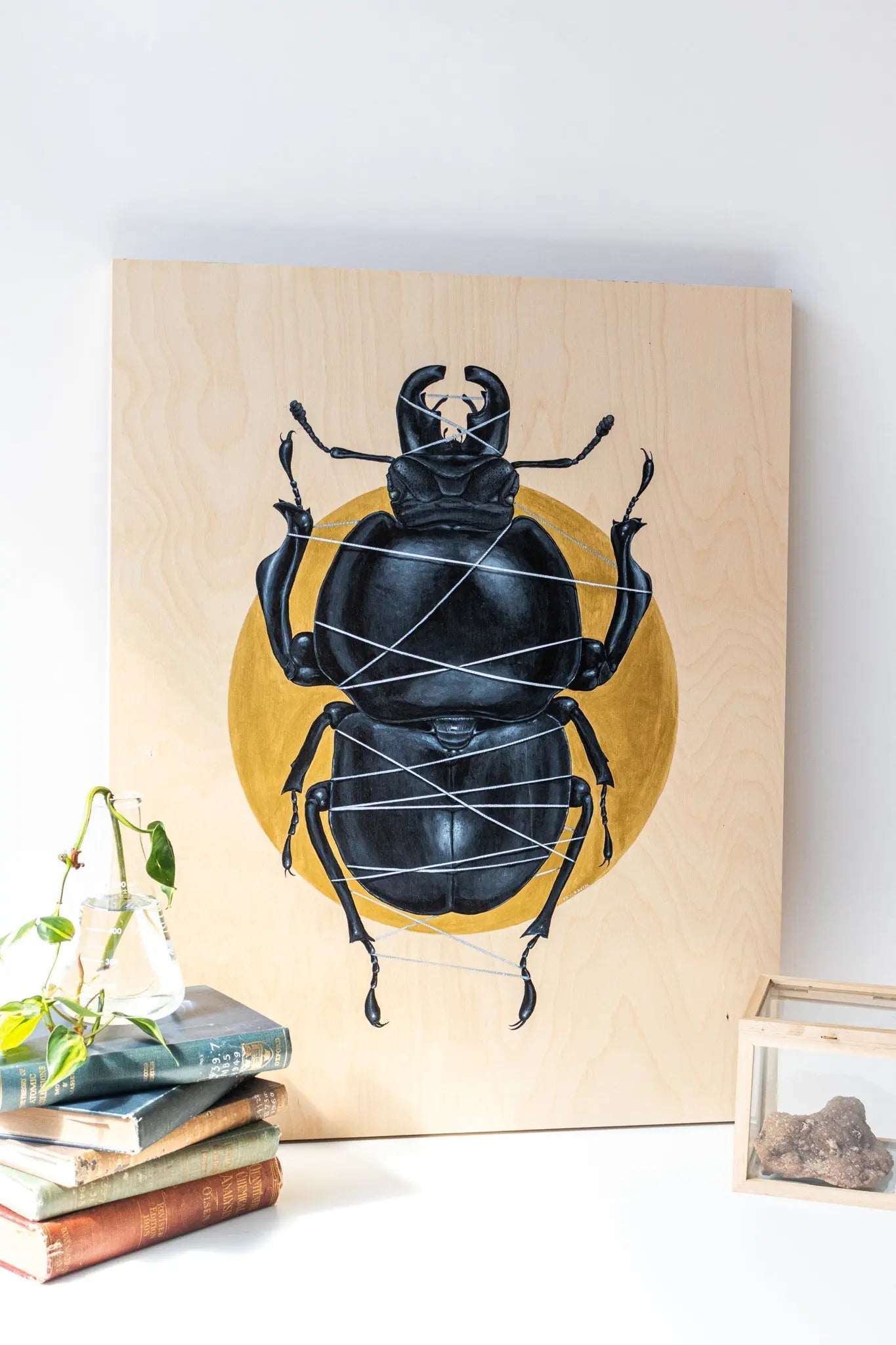 Colophon Whitei Painting – Charts