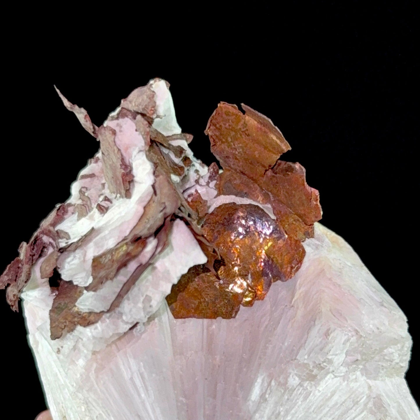 Copper on Scolecite | High Quality Mineral | Indian Minerals | Superb Minerals | Fine Mineral | Collectors Piece – Scolecite