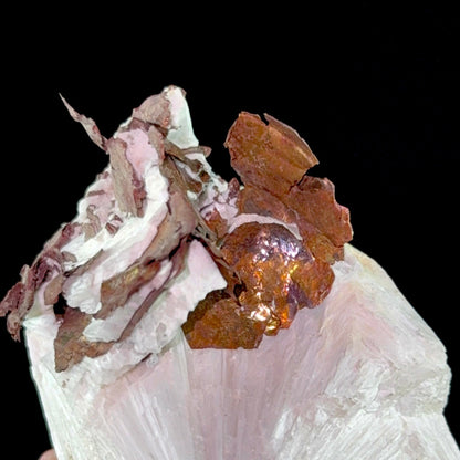 Copper on Scolecite | High Quality Mineral | Indian Minerals | Superb Minerals | Fine Mineral | Collectors Piece – Scolecite