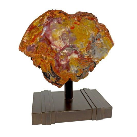 Arizona Rainbow Petrified Wood Slice on Custom Stand – Fossils & Minerals