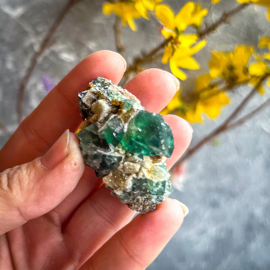 Druzy Dreams Pocket Fluorite Clusters (Color Change) Diana Maria Mine, Fluorescent Fluorite –